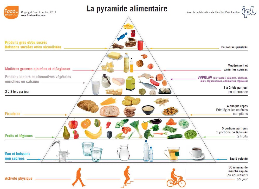 Image Pyramide alimentaire du sportif
